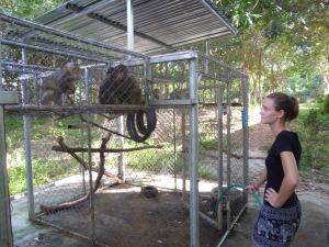 Volunteering in Laos