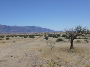 Volunteering in Namibia