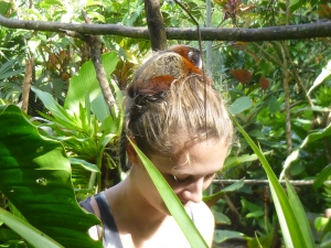 Tamarin hitching a ride