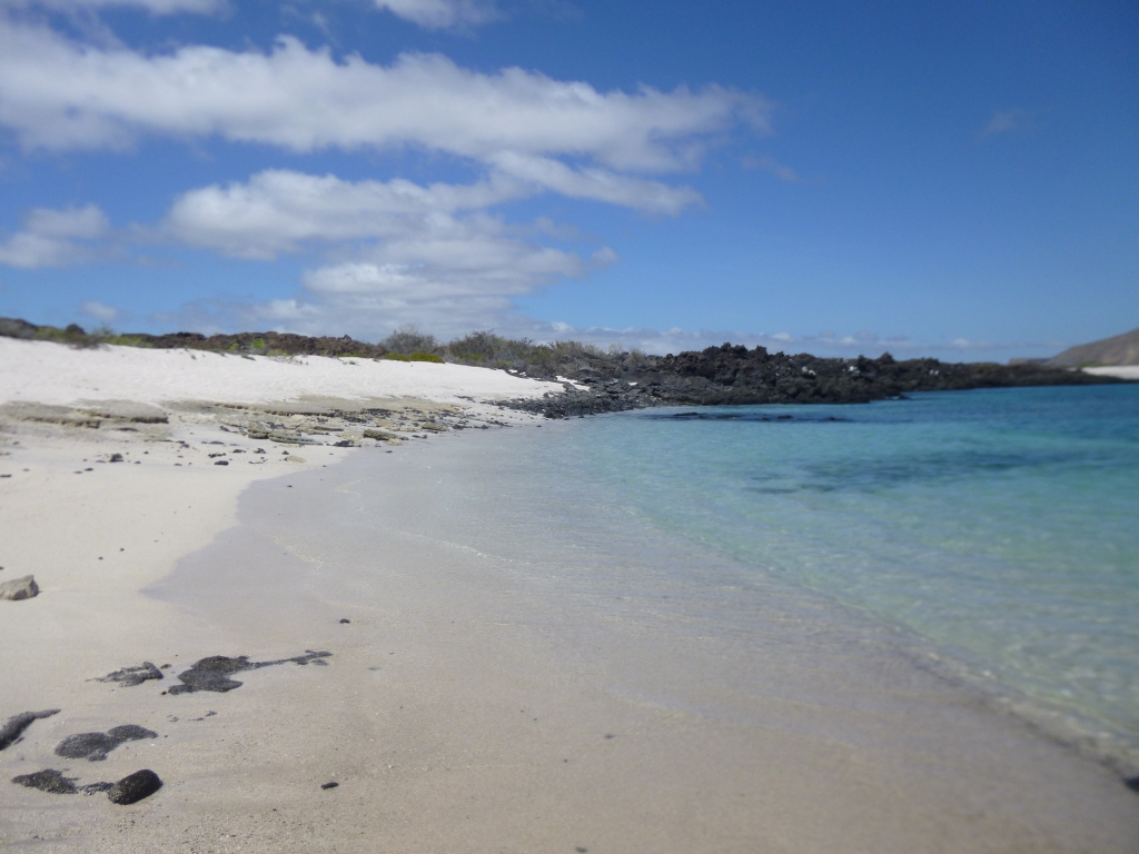 Beach heaven in the Galapagos