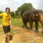 Volunteer with wildlife in Thailand