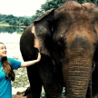 Family volunteering with elephants in Laos Family volunteering with elephants in Laos