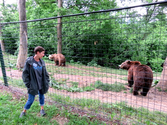 A volunteer at the bear sanctuary in Romania