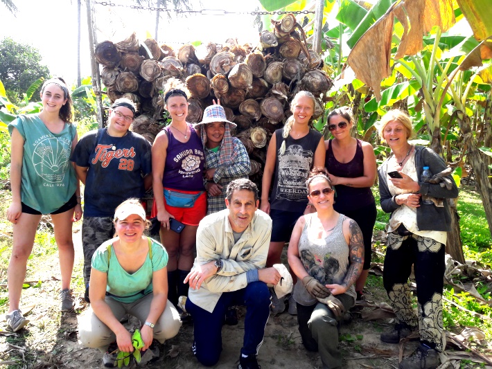 Volunteers help to cut grasses for the elephants