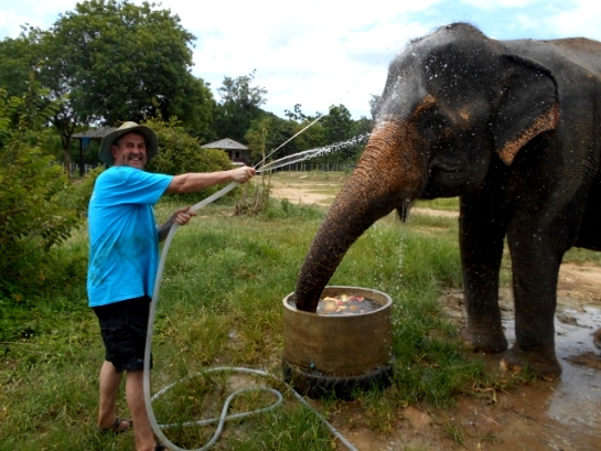 A volunteer helps to bathe an elephant