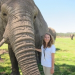Elephant conservation volunteering