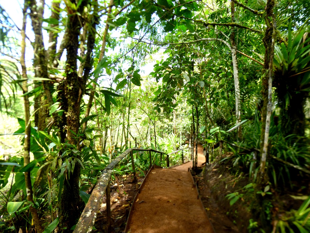 Tropical wildlife sanctuary in Ecuador
