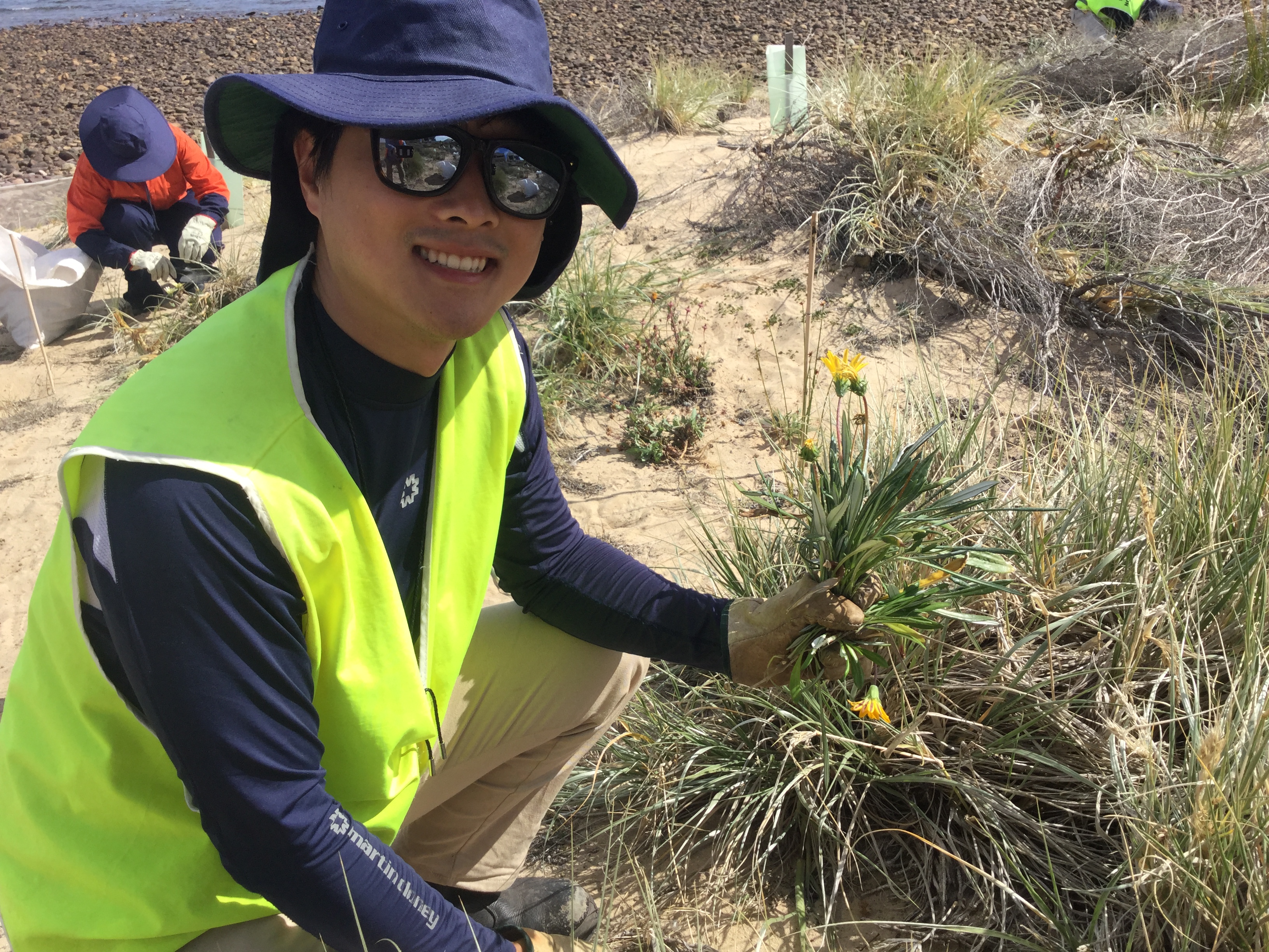 Conservation work in New Zealand