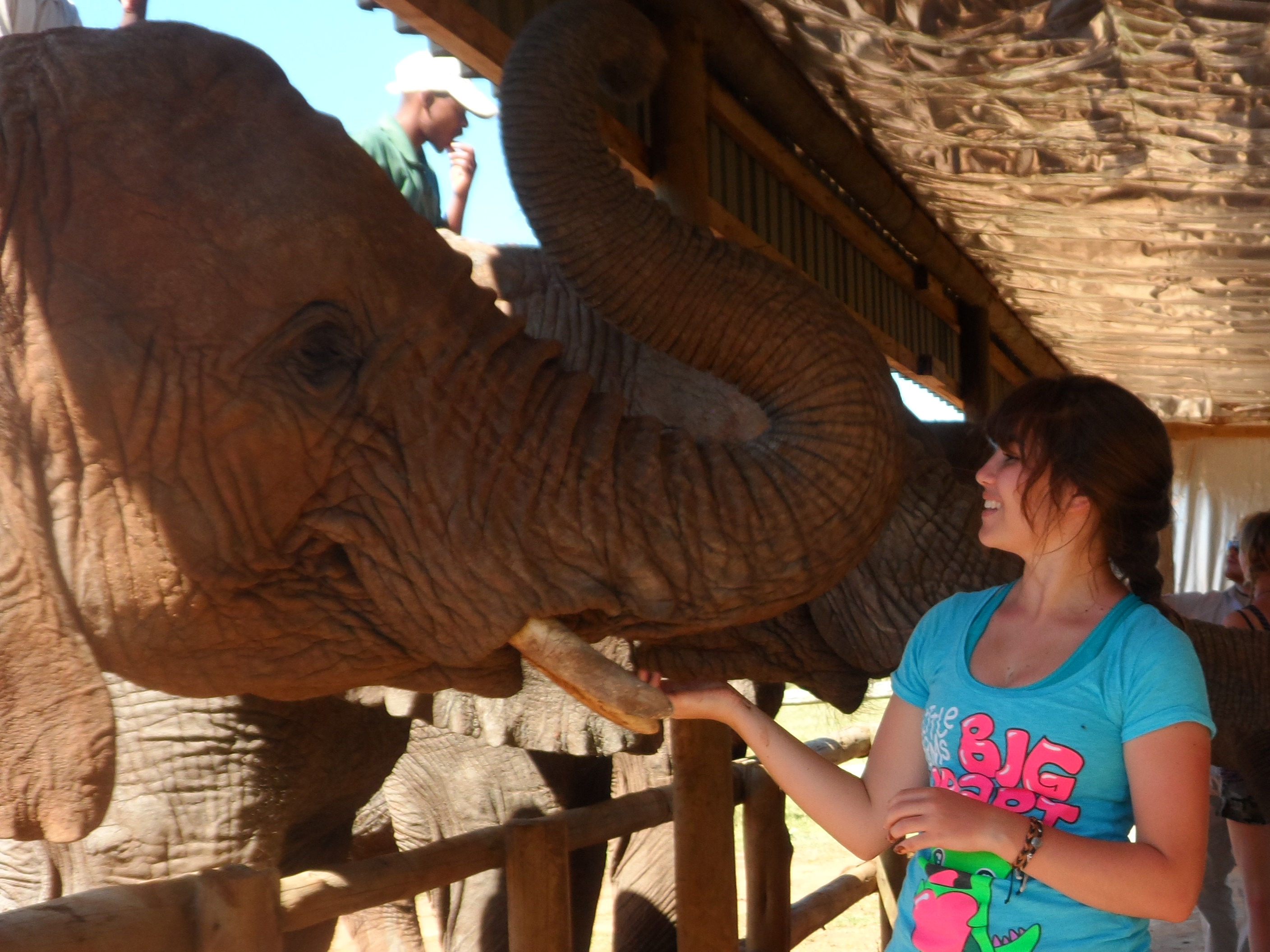 A Q&A with a veterinary intern in South Africa Oyster Worldwide