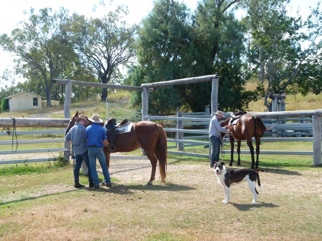 Saddling up the horses