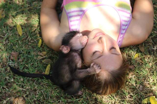 Snuggling with a monkey