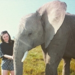 Sophie Rainbow- volunteer with elephants