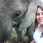 Elephant conservation volunteering