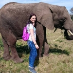 Volunteering with elephants