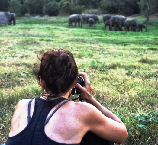 Watching Elephants in WG Lake (14)