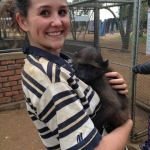 Volunteering with baboons