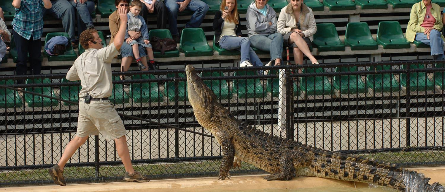 australia-zoo