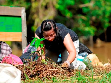 A volunteer planting a tree on a conservation project in Malaysia