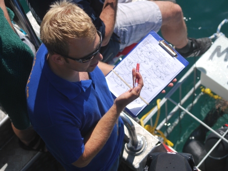 Collecting data about sharks out at sea