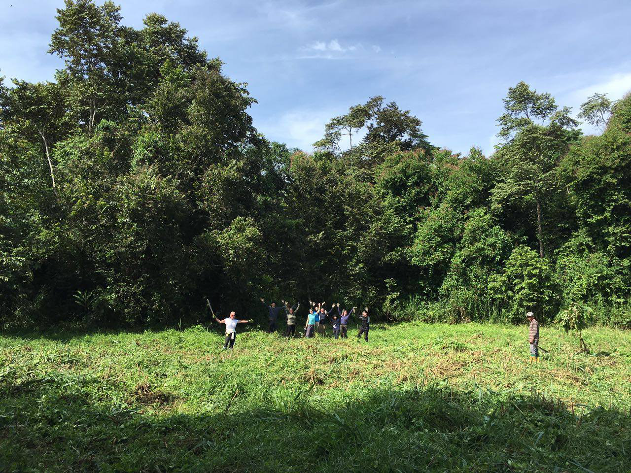 Clearing vegetation in Borneo