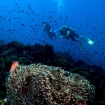 Marine conservation in Thailand