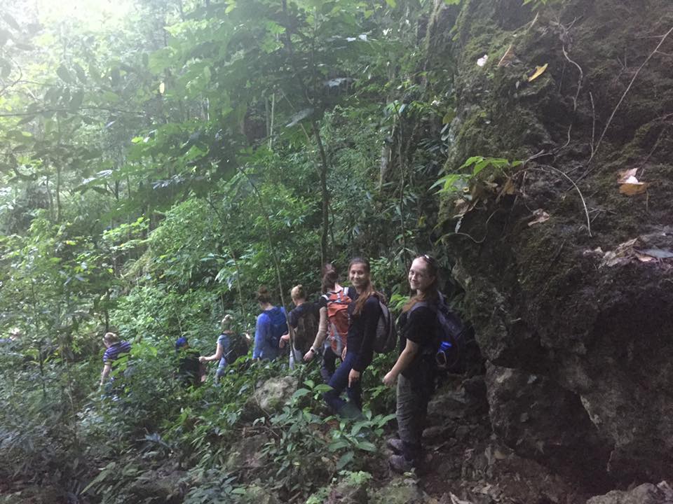 Jungle trek in Borneo