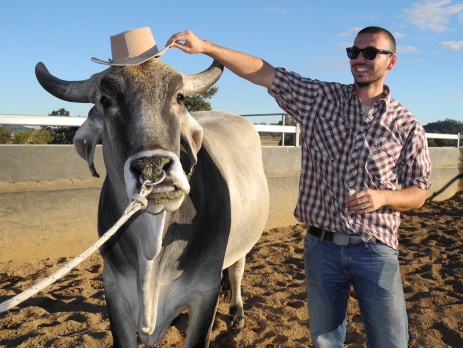 A participant on the Australian paid farm work programme holding a cowboy hat on the head of a bull