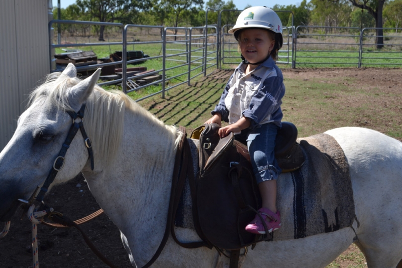 stockhorseriding.sized