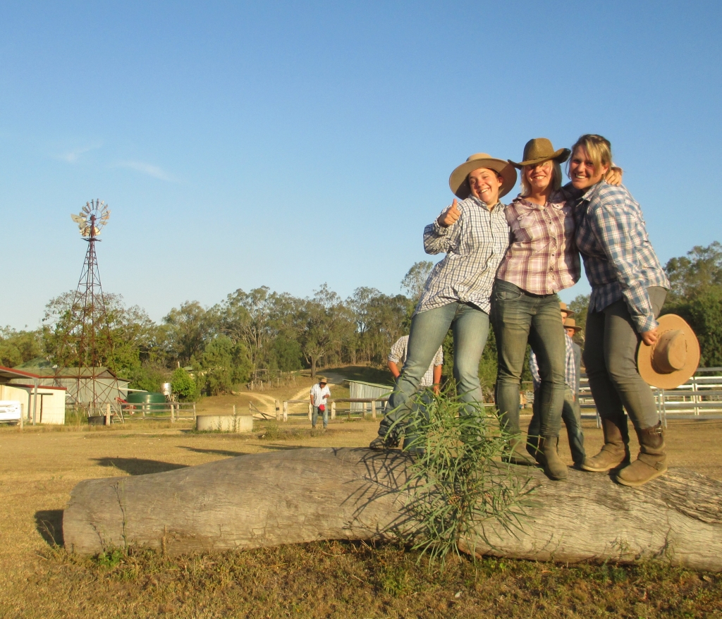 Windmill in Australia 