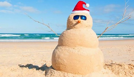 the-quintessential-australian-christmas-google-image