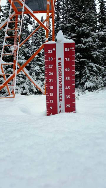https://www.facebook.com/whistlerblackcomb/photos/pcb.10153362114123402/10153362104883402/?type=3&theater whistler 1